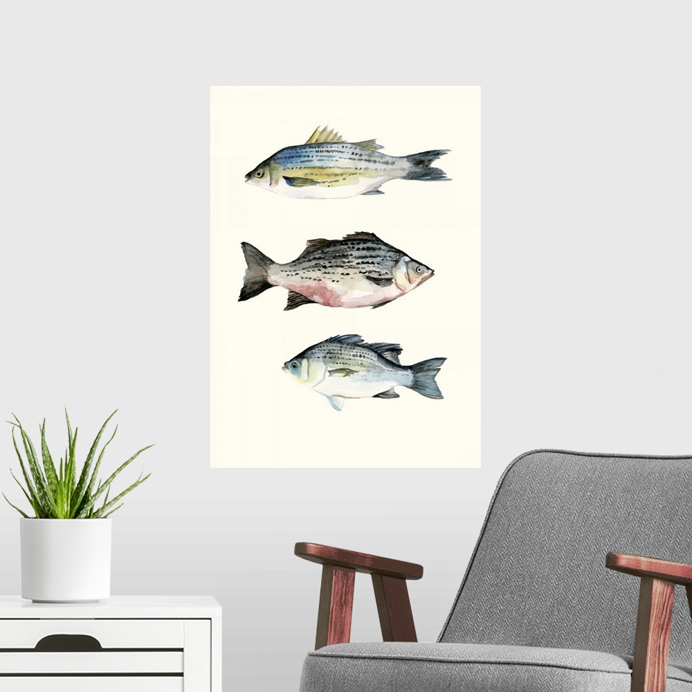 A modern room featuring Contemporary watercolor painting of three fish on an off white background.
