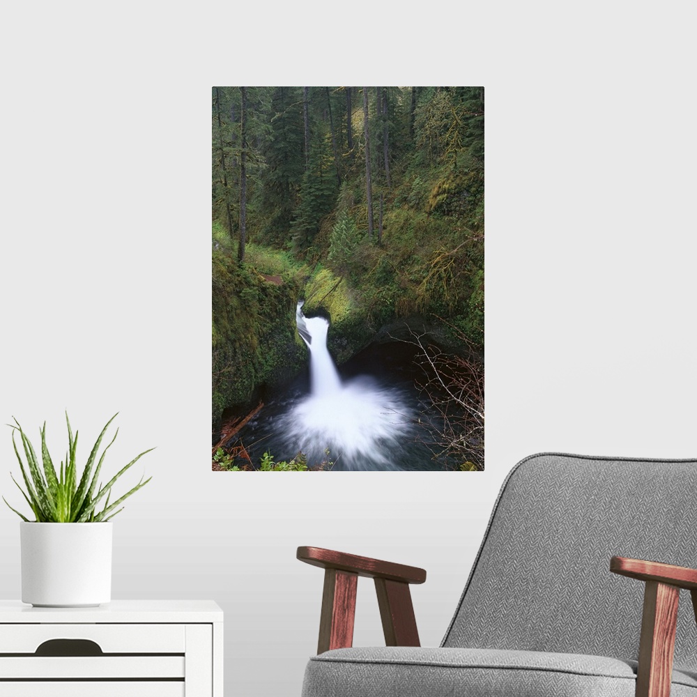 A modern room featuring Punchbowl Falls at Eagle Creek, Columbia River Gorge, Oregon