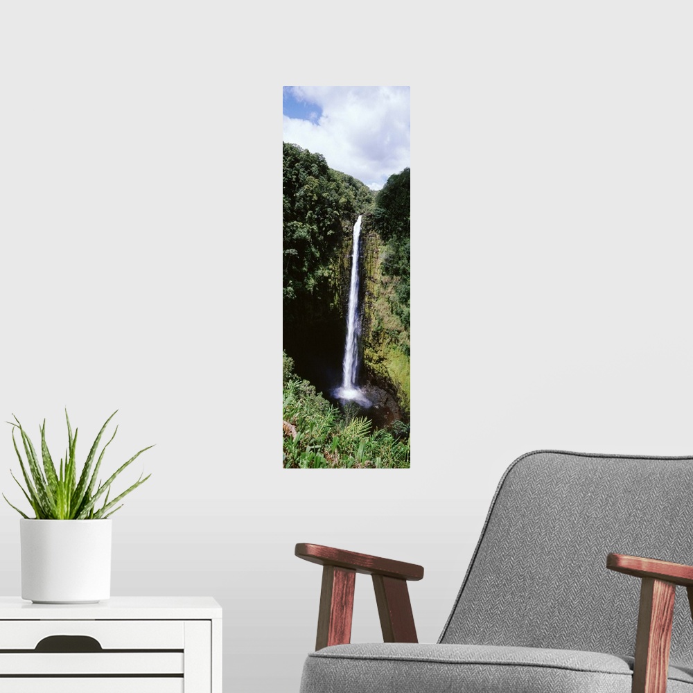 A modern room featuring Akaka Falls Hilo HI