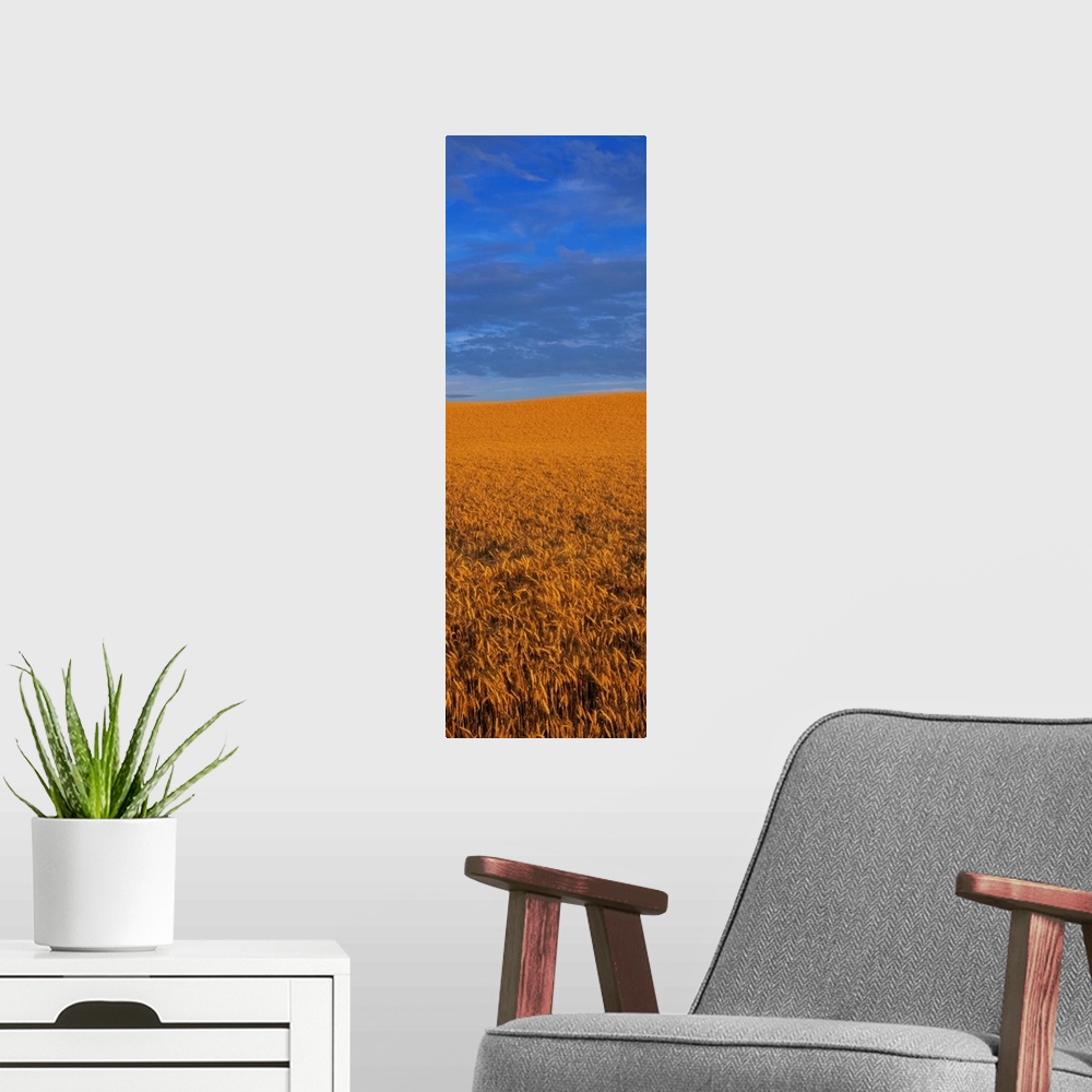 A modern room featuring Clouds Over a Wheat Field