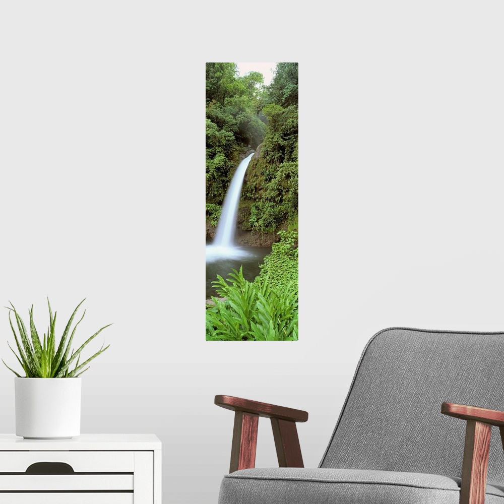 A modern room featuring Costa Rica, Catarata La Paz Waterfall, View of a waterfall in a forest