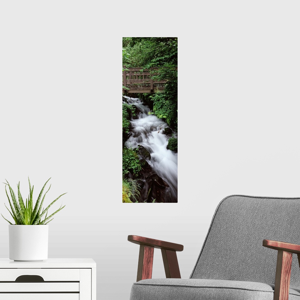A modern room featuring Creek in a forest Wahkeena Creek Columbia Gorge National Scenic Area Columbia River Gorge Multnom...