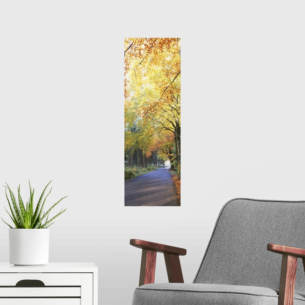 A modern room featuring Fall Road