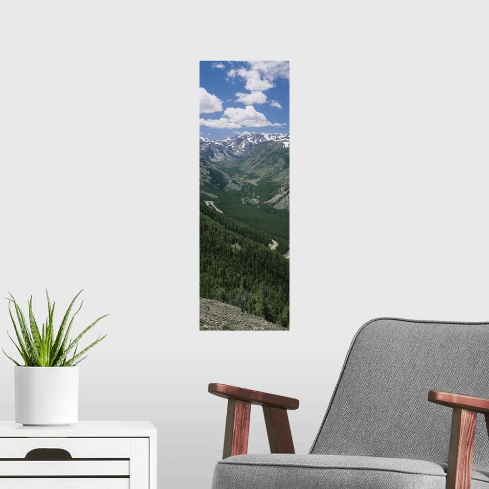A modern room featuring High angle view of a highway through a forest, Beartooth Highway, Beartooth Mountains, Montana