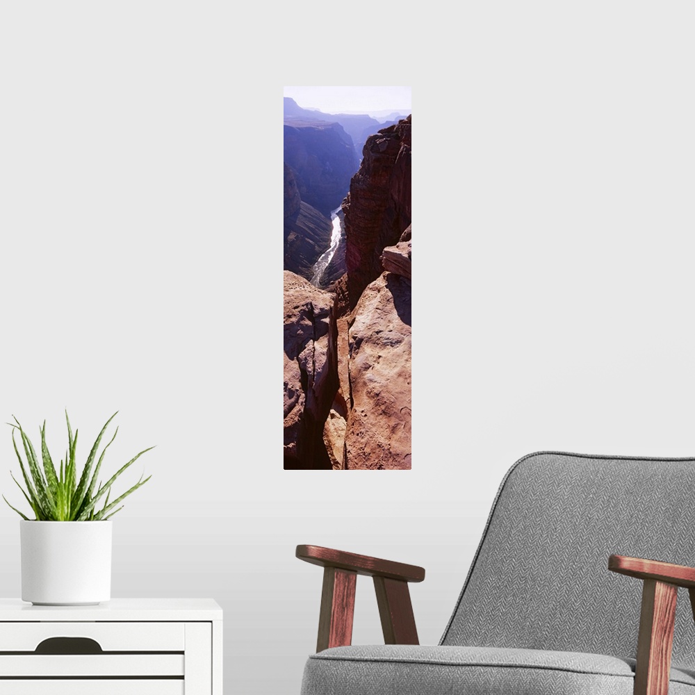 A modern room featuring High angle view of a river passing through a canyon, Colorado River, North Rim, Toroweap, Grand C...