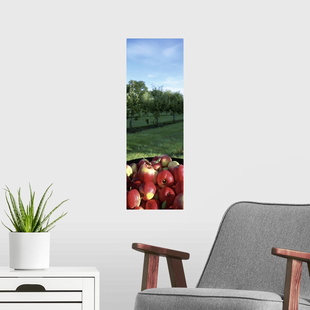 A modern room featuring High angle view of apples in a container