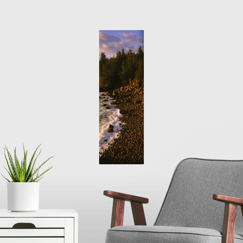 A modern room featuring High angle view of rocks at the coast, Monument Cove, Mount Desert Island, Acadia National Park, ...