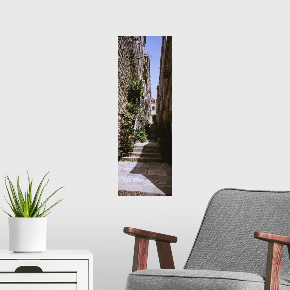 A modern room featuring Low angle view of steps in an alley, Dubrovnik, Croatia