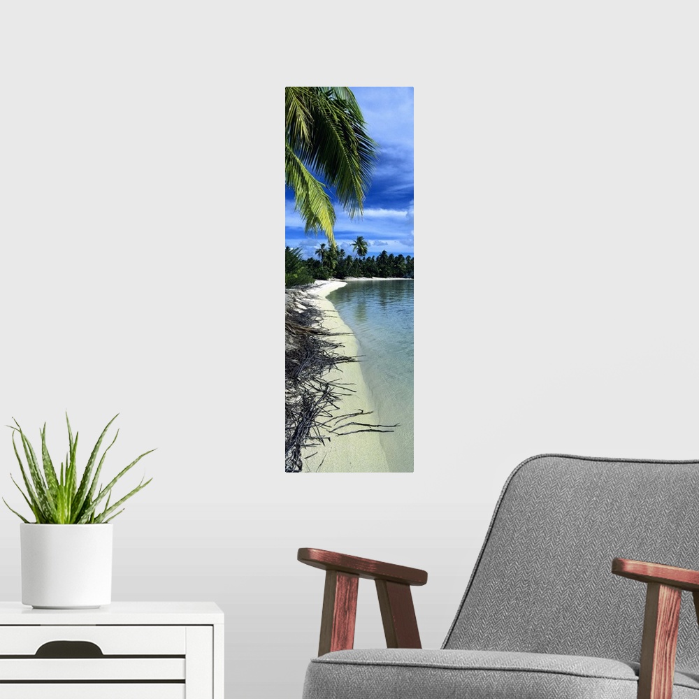 A modern room featuring Palm trees on the beach, French Polynesia