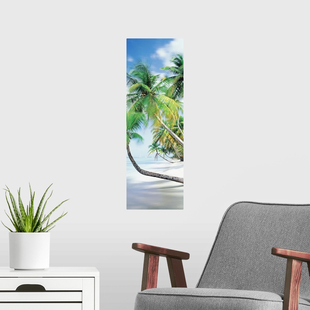 A modern room featuring Vertical photograph on an oversized canvas of palm trees growing at an angle toward the coast lin...