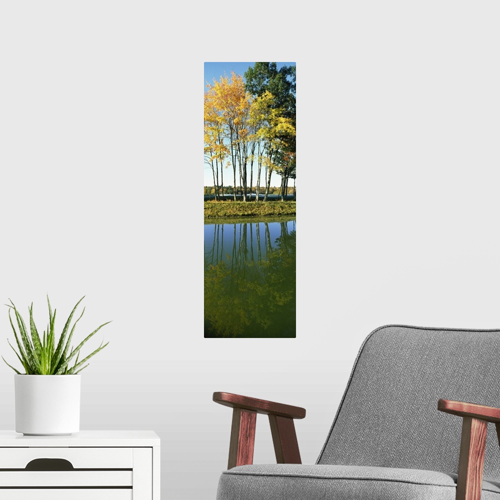 A modern room featuring Reflection of trees in a lake, New England