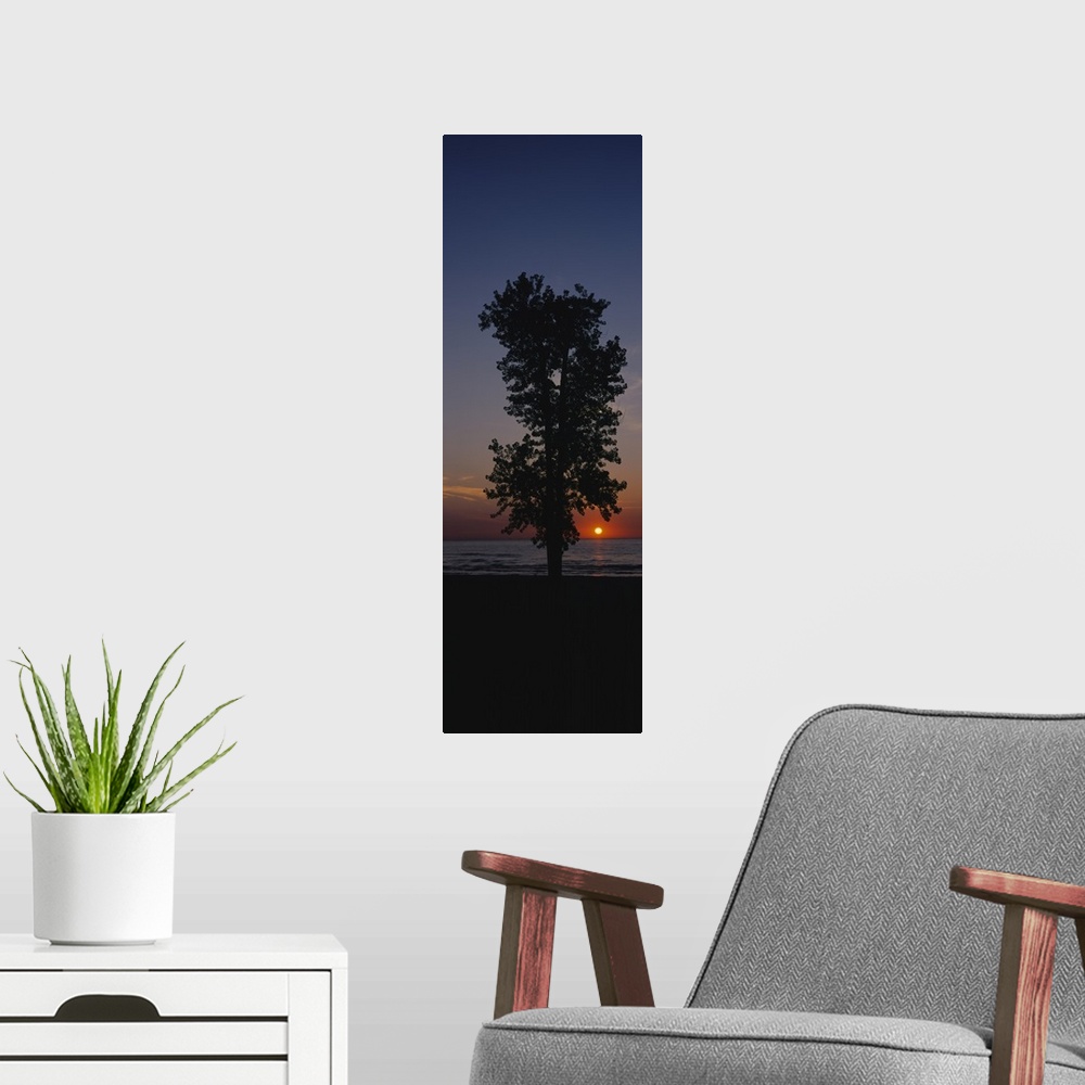 A modern room featuring Silhouette of a cotton wood tree at sunrise, Lake Erie, Michigan