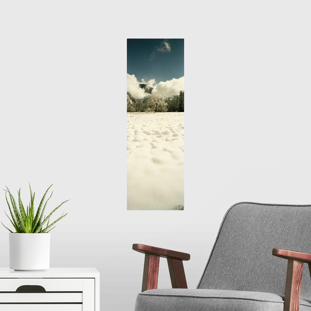 A modern room featuring Snow covered landscape, Yosemite Valley, Yosemite National Park, Mariposa County, California