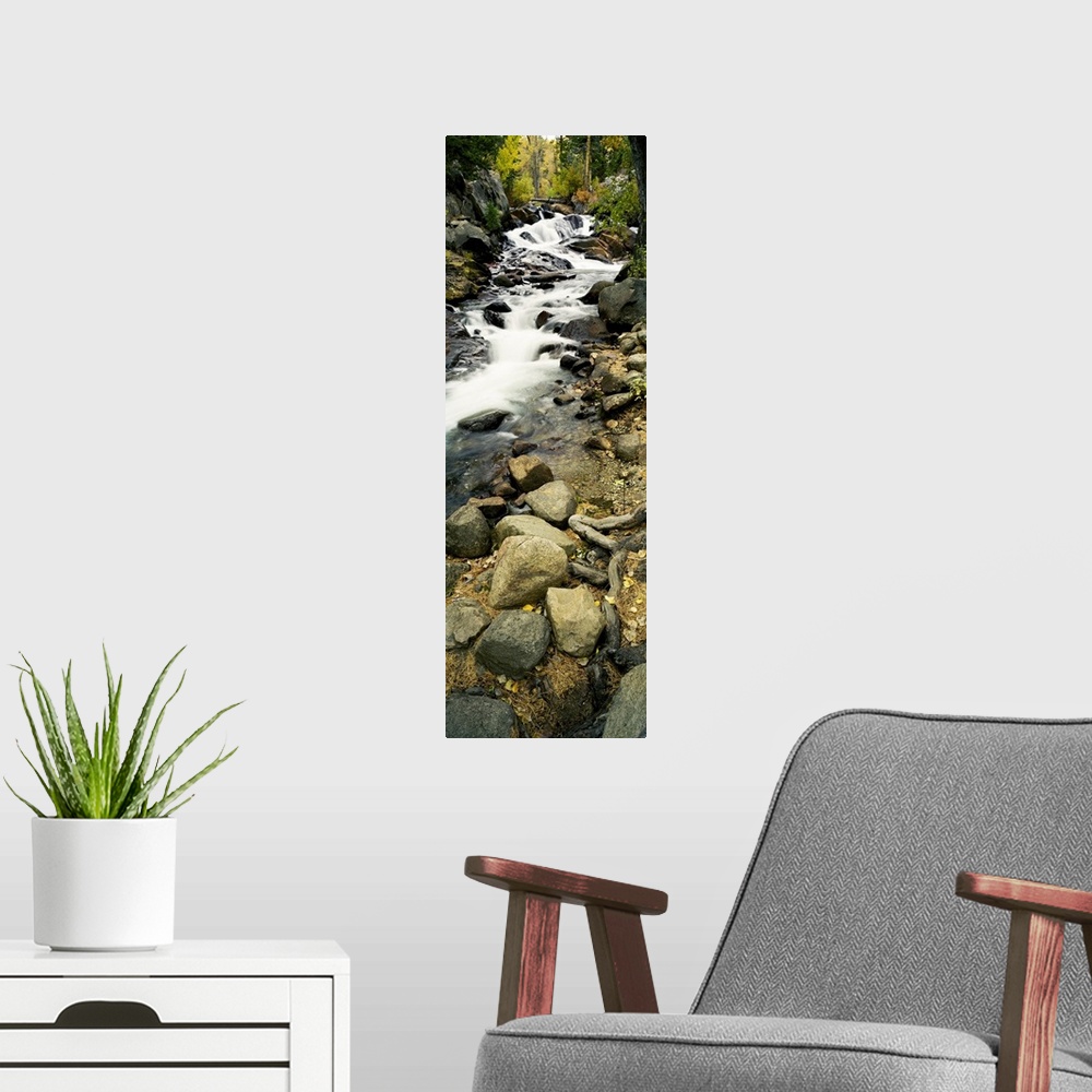 A modern room featuring Stream flowing through rocks, Lee Vining Creek, Lee Vining, Mono County, California