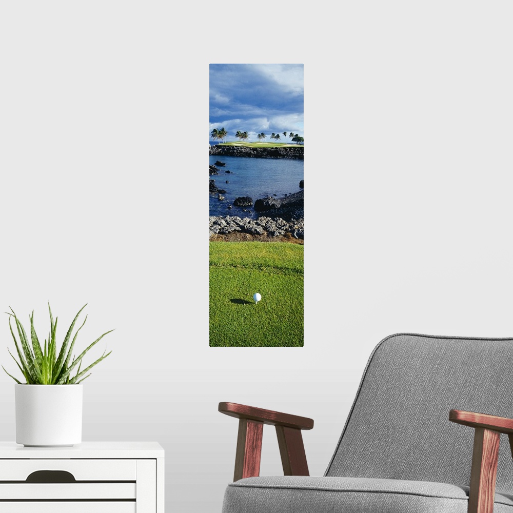 A modern room featuring Tall panoramic photo of a golf ball, the shot lined across a small inlet towards a patch of palm ...
