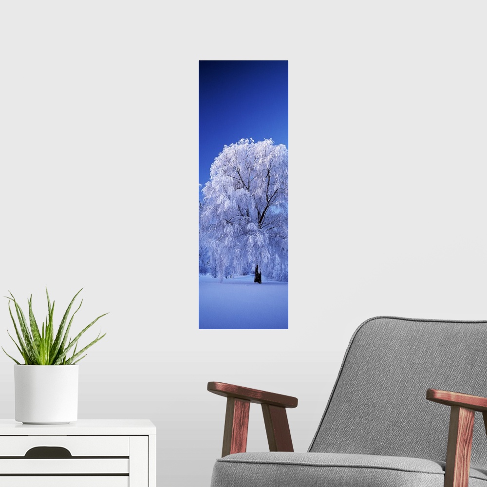 A modern room featuring Tree covered with snow, Imatra, South Karelia, Finland