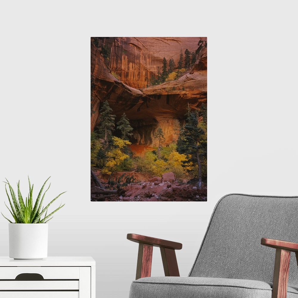 A modern room featuring Photograph of cave entrance surrounded by trees and bushes in front of and above it.