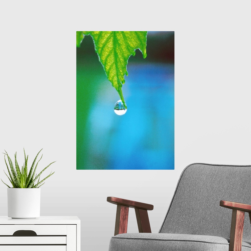 A modern room featuring Water drop falling from leaf