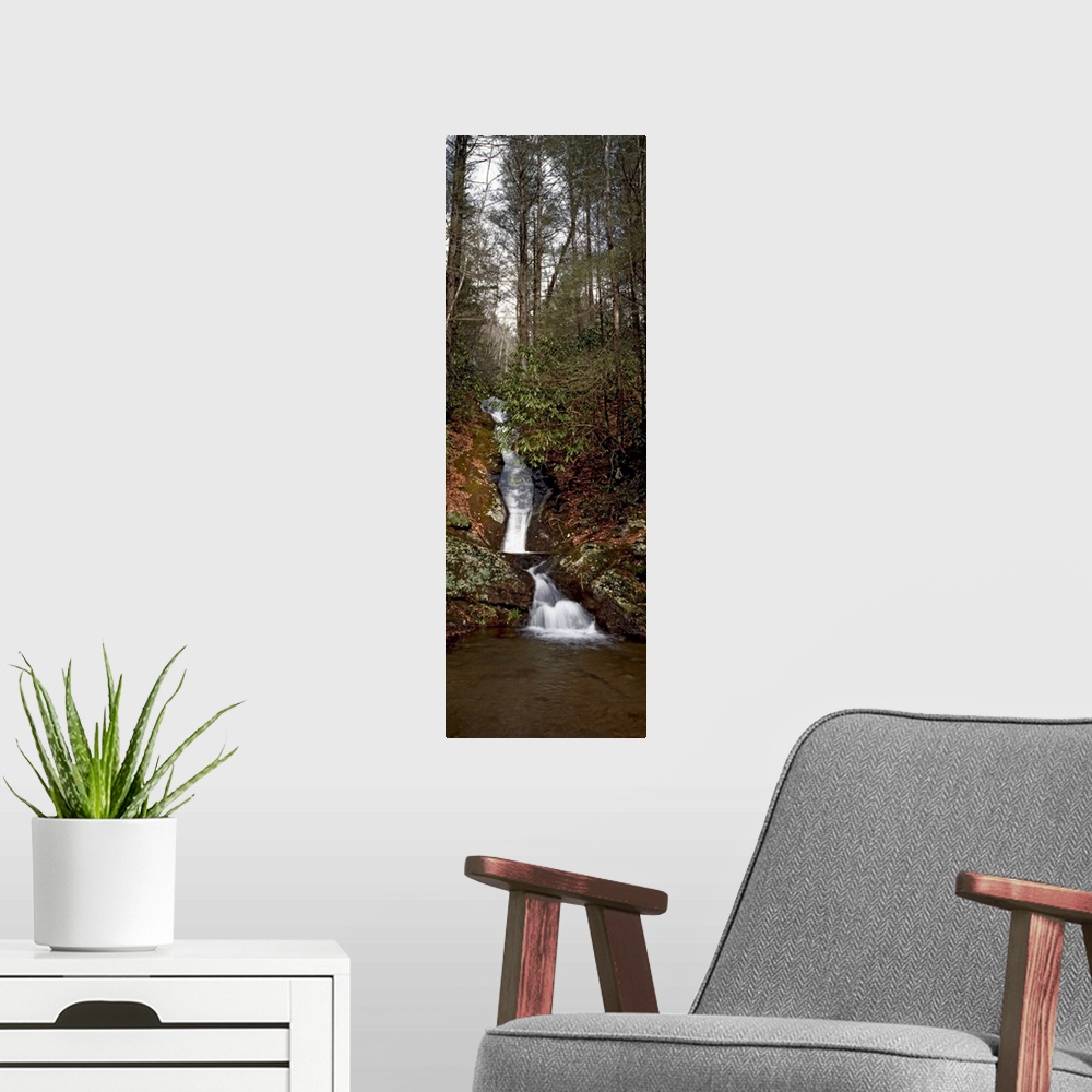 A modern room featuring Waterfall in a forest, Appalachian Mountains, North Carolina,