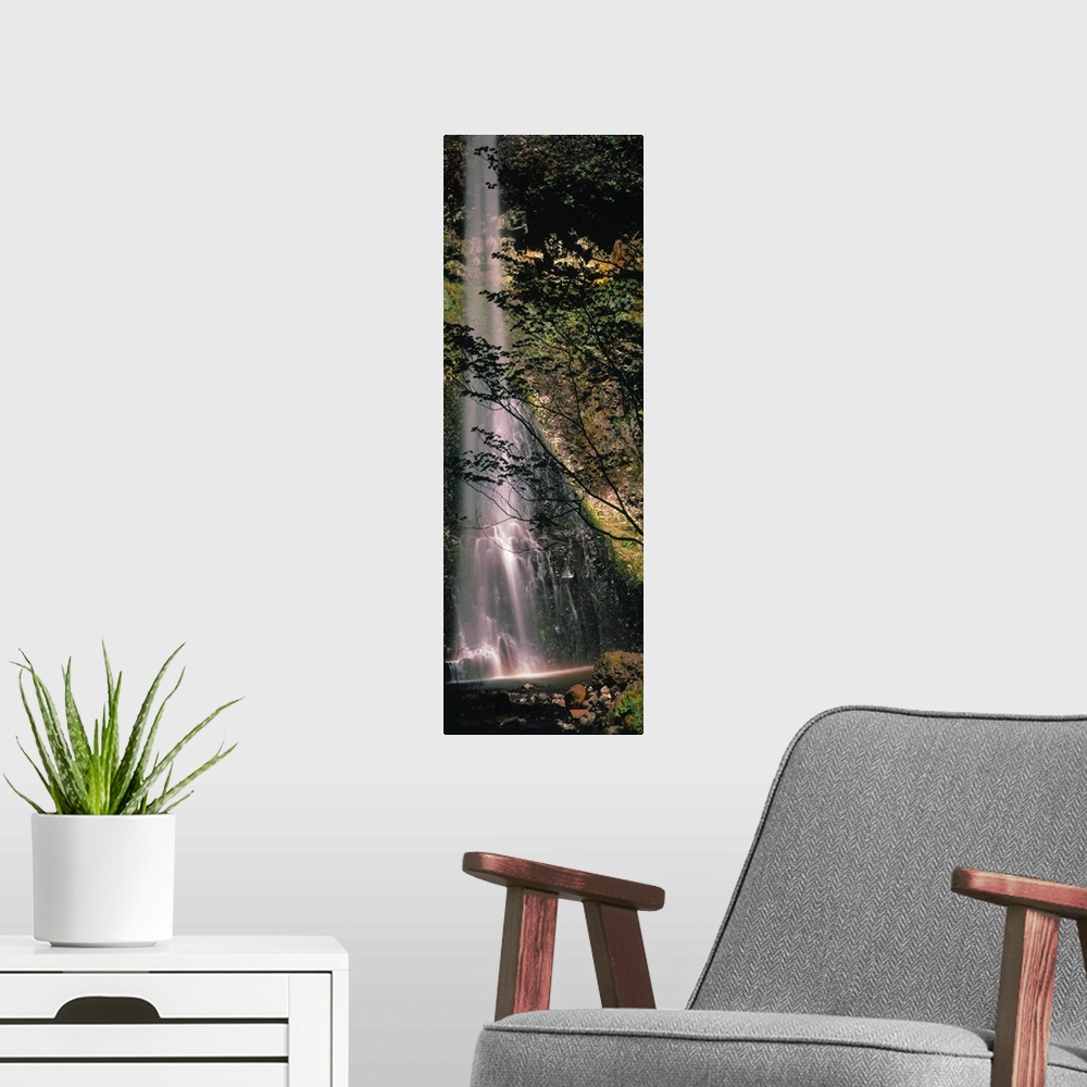A modern room featuring Waterfall in a forest, Columbia Gorge, Oregon,
