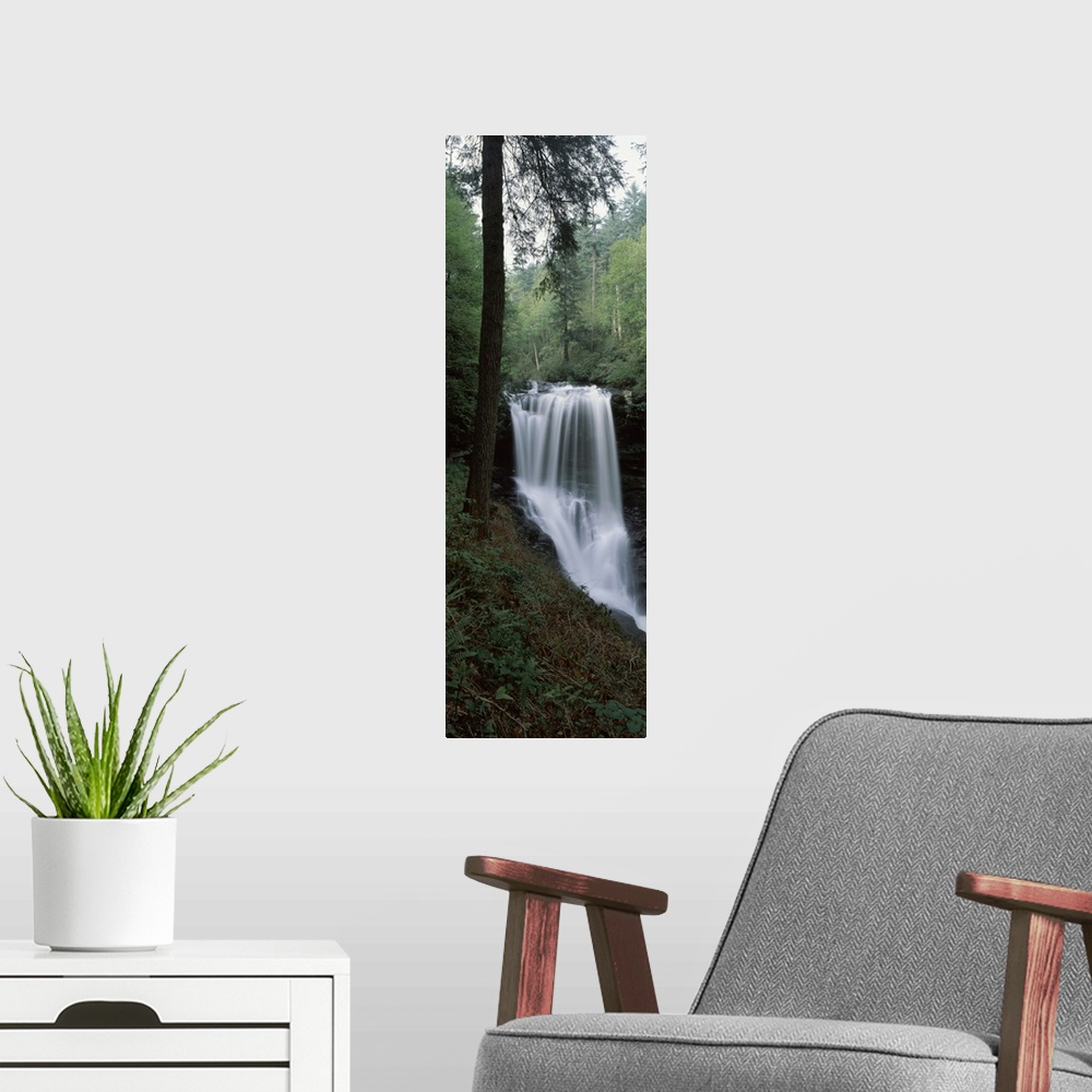 A modern room featuring Waterfall in a forest, Dry Falls, Nantahala National Forest, Macon County, North Carolina