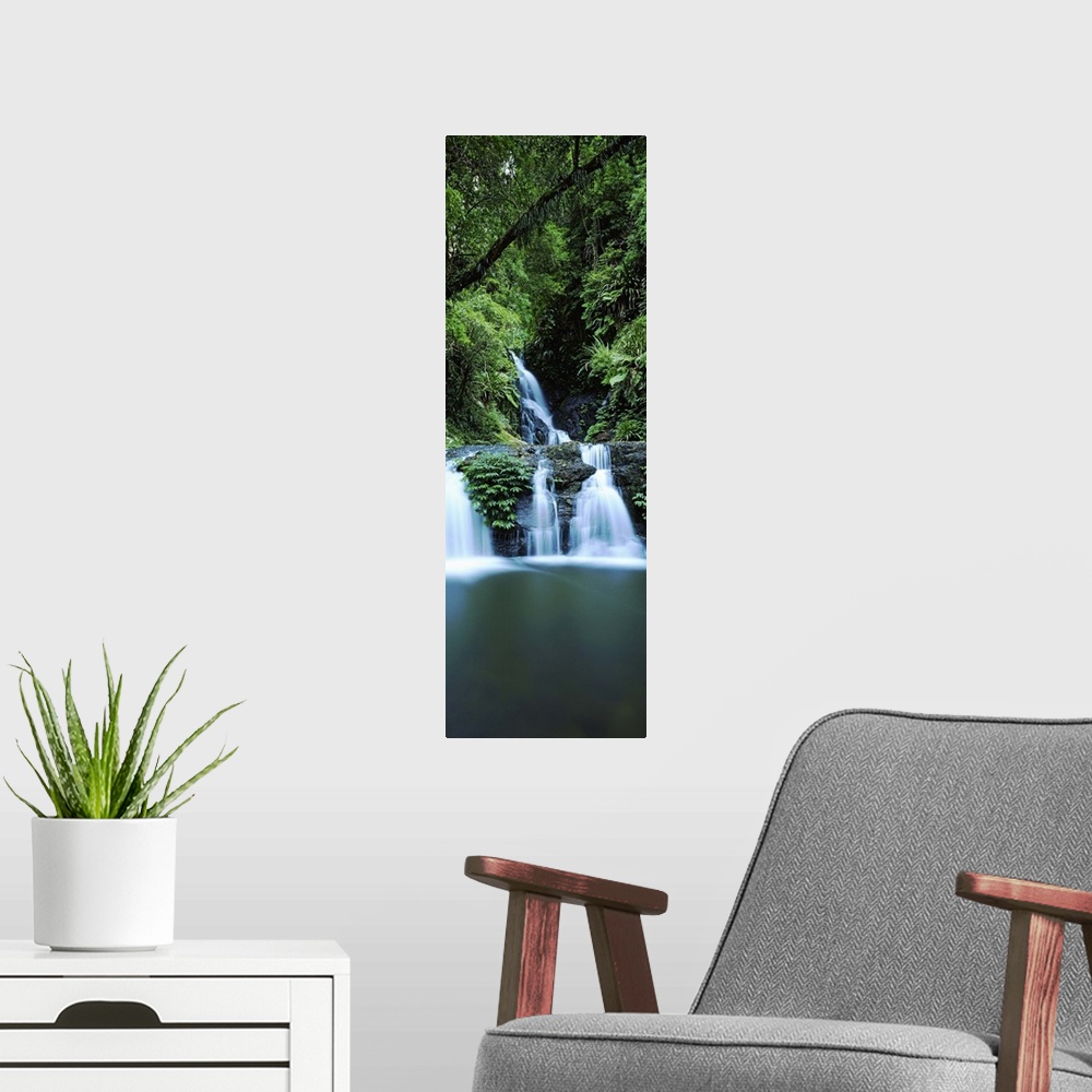 A modern room featuring Waterfall in a forest, Lamington National Park, Queensland, Australia
