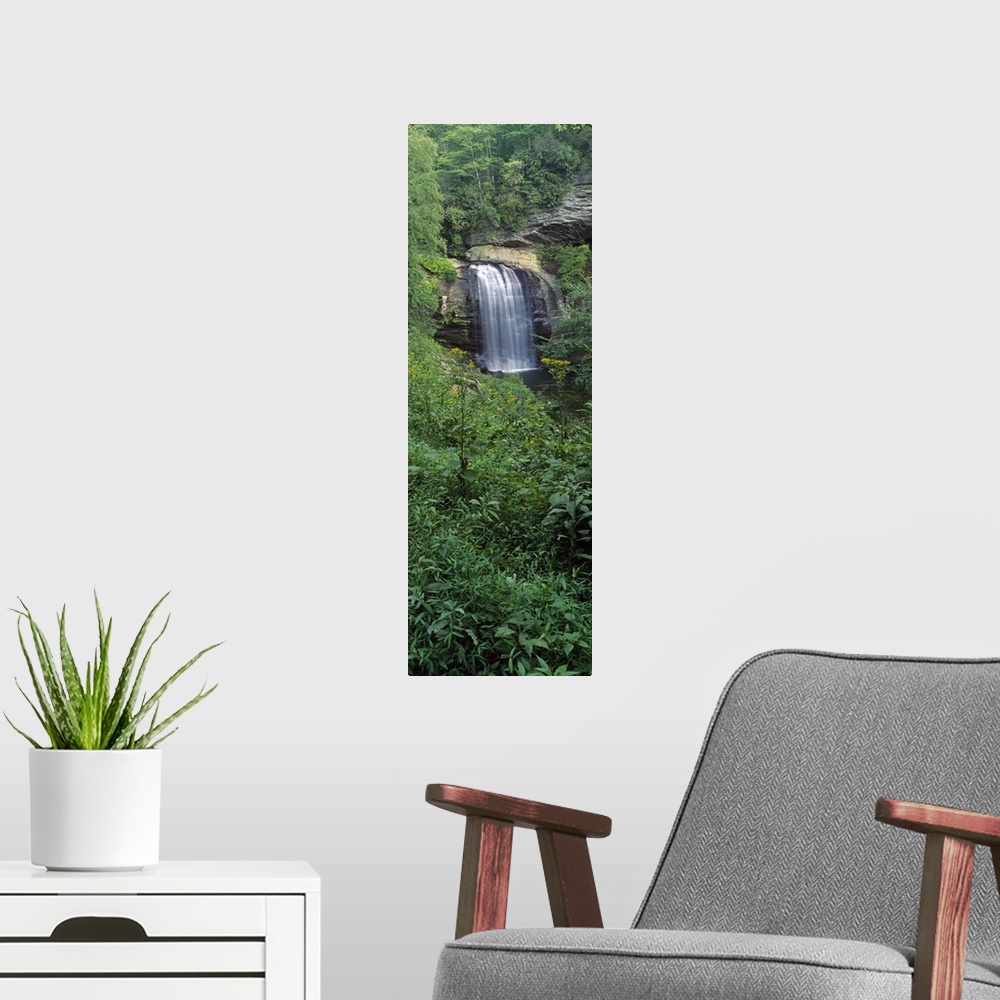 A modern room featuring Looking Glass Falls, Pisgah National Forest, North Carolina, USA