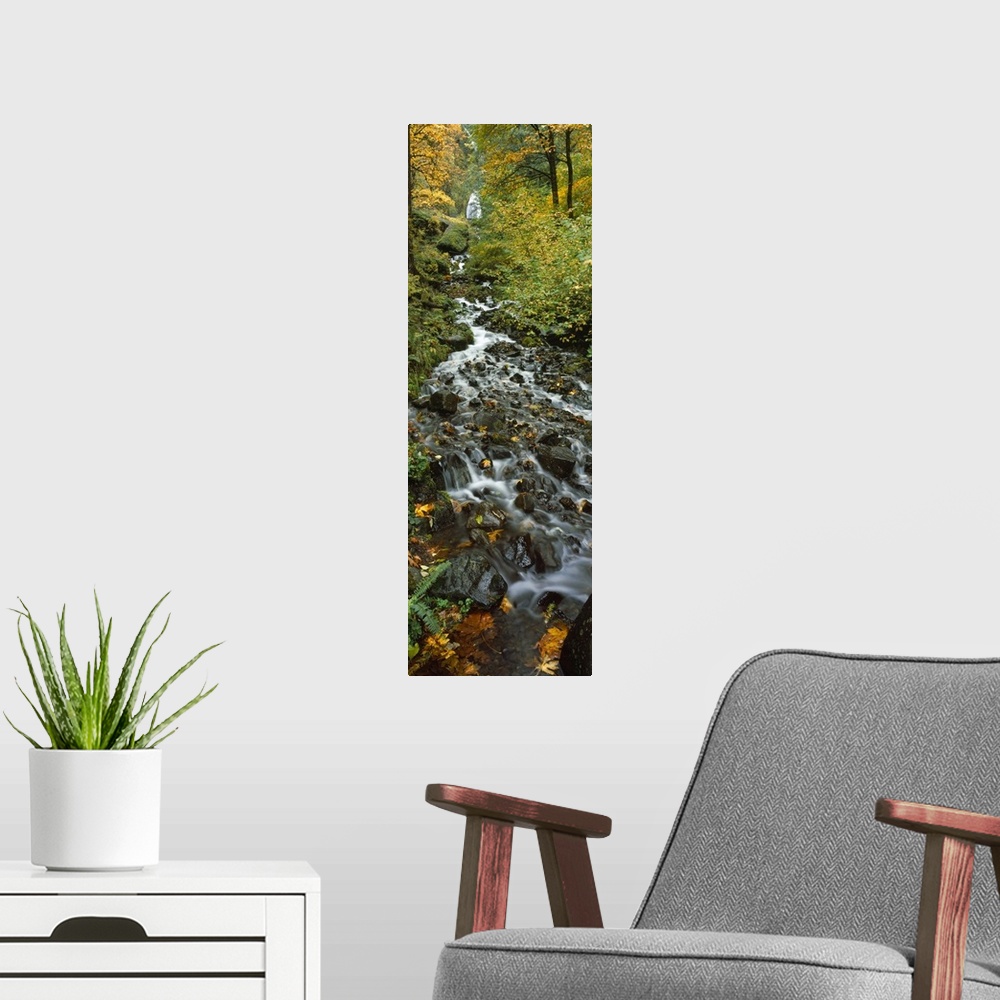 A modern room featuring Portrait photograph on a large canvas of Wahkeena Falls, hidden behind trees in a forest, while t...