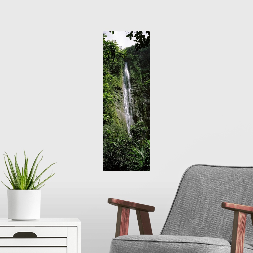 A modern room featuring Waterfall in a forest, Waimoku Falls, Haleakala National Park, Maui, Hawaii