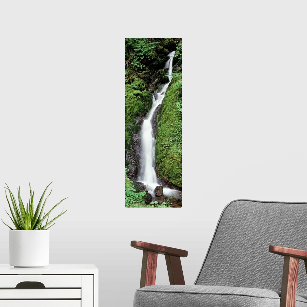 A modern room featuring Waterfall Olympic National Park WA