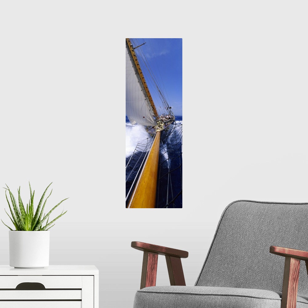 A modern room featuring Yacht Mast Caribbean