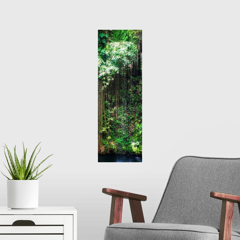 A modern room featuring Panoramic photograph of the haning roots of Ik-Kil Cenote in Yucat?n, Mexico.  From the Viva Mexi...