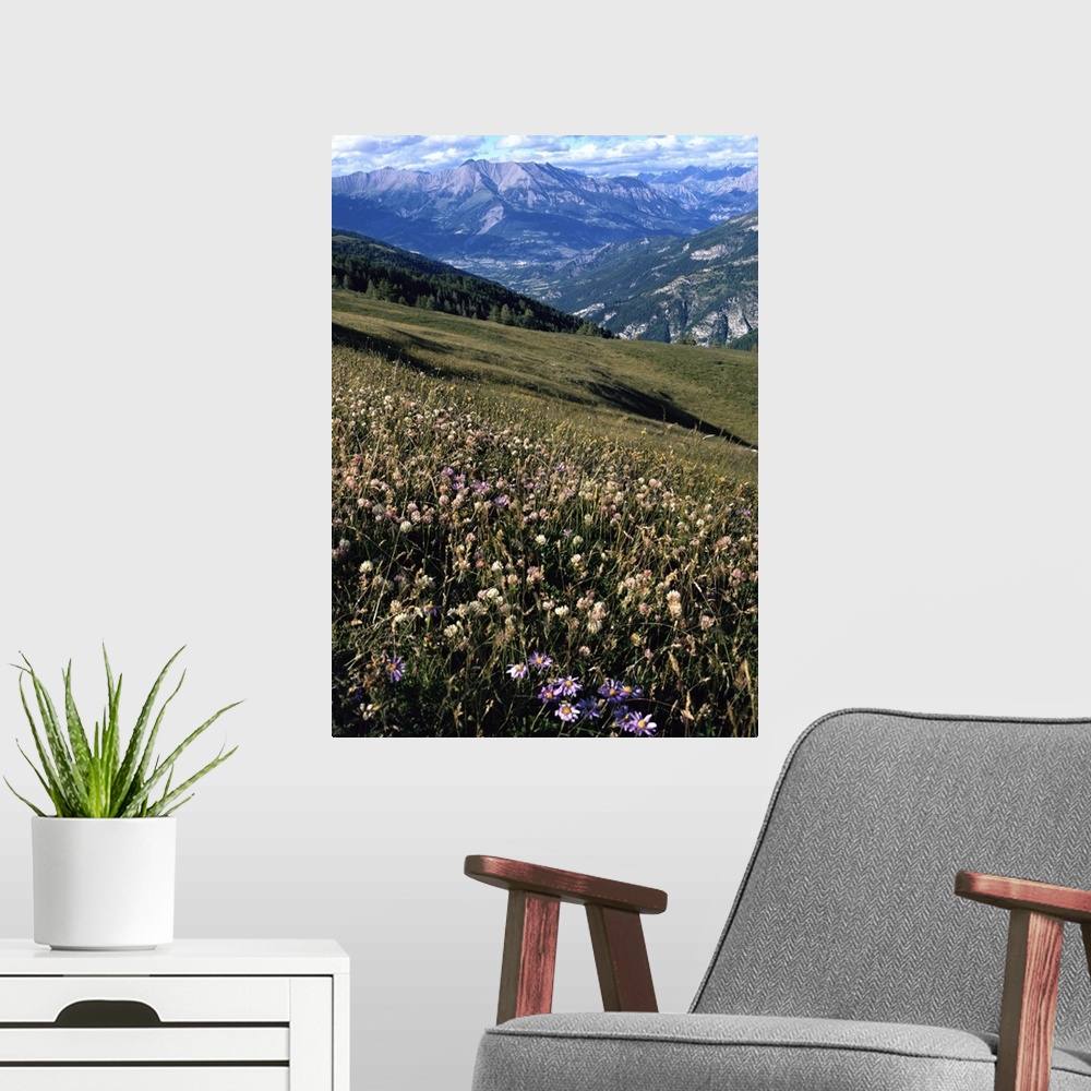 A modern room featuring View from Col d'Allos, Alpes-de-Haute-Provence, Provence, France