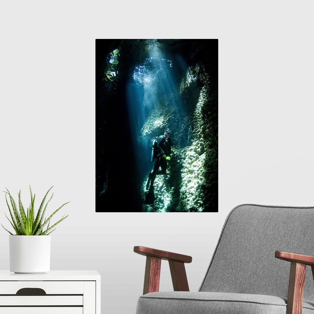 A modern room featuring A diver explores the Lerus Cut underwater cavern, Solomons.