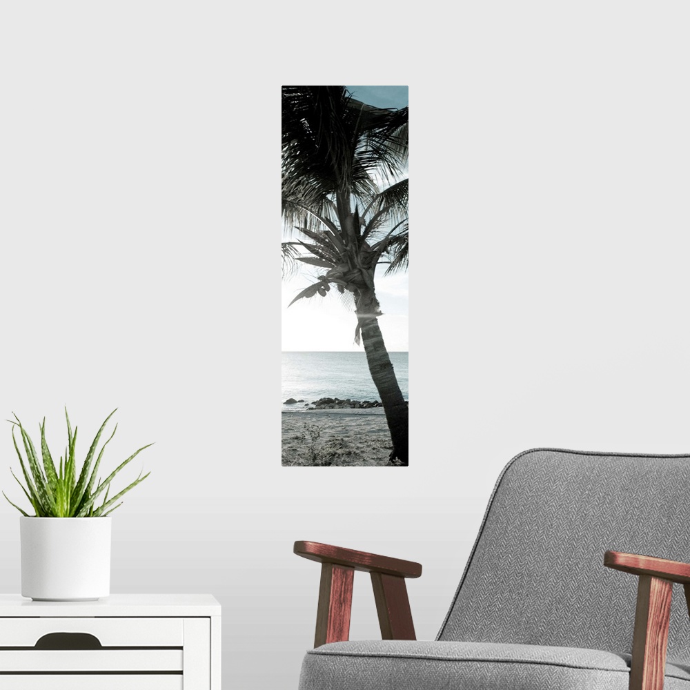 A modern room featuring Cool Bimini Palm I