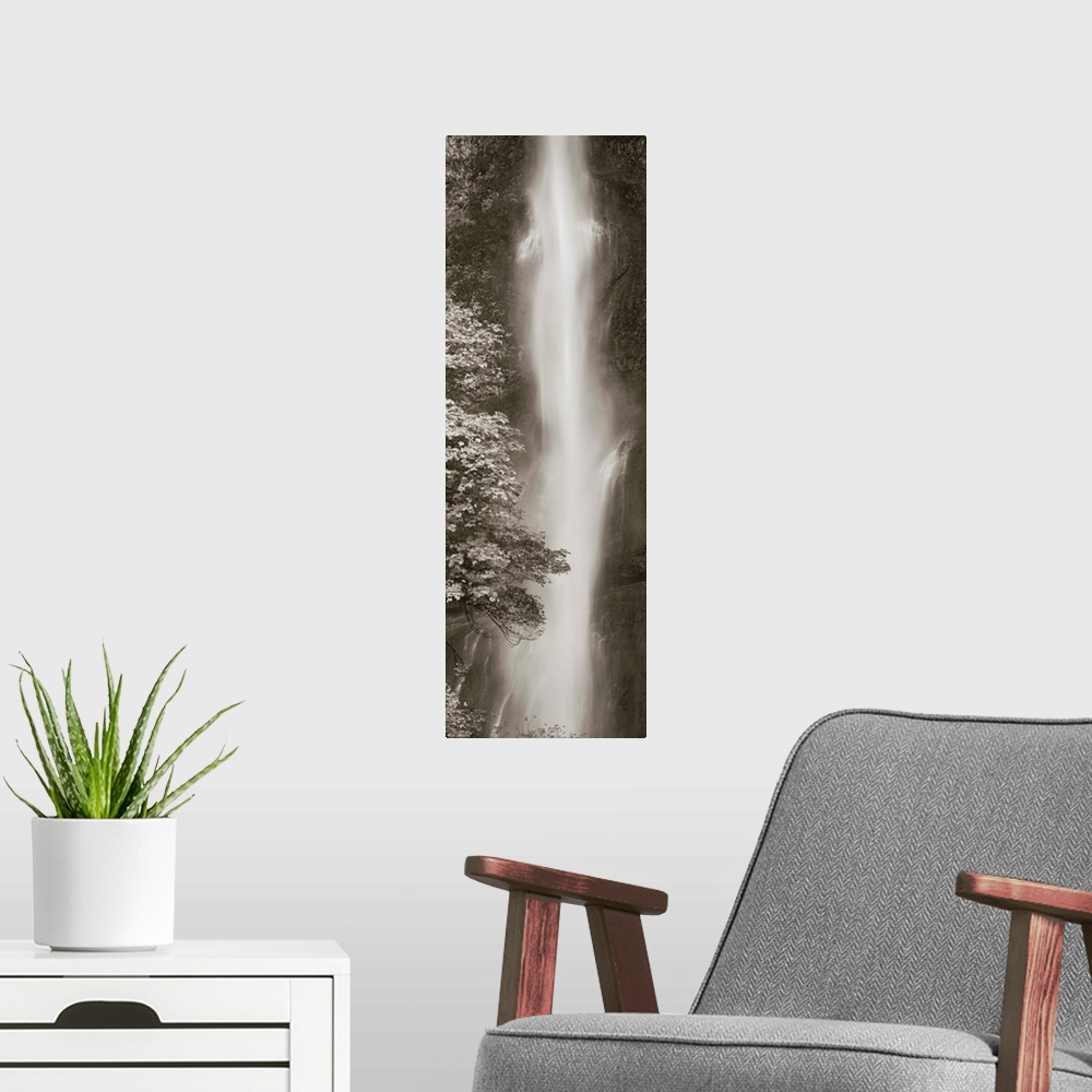 A modern room featuring A black and white photograph of a waterfall rushing down over over rocks in a forest.