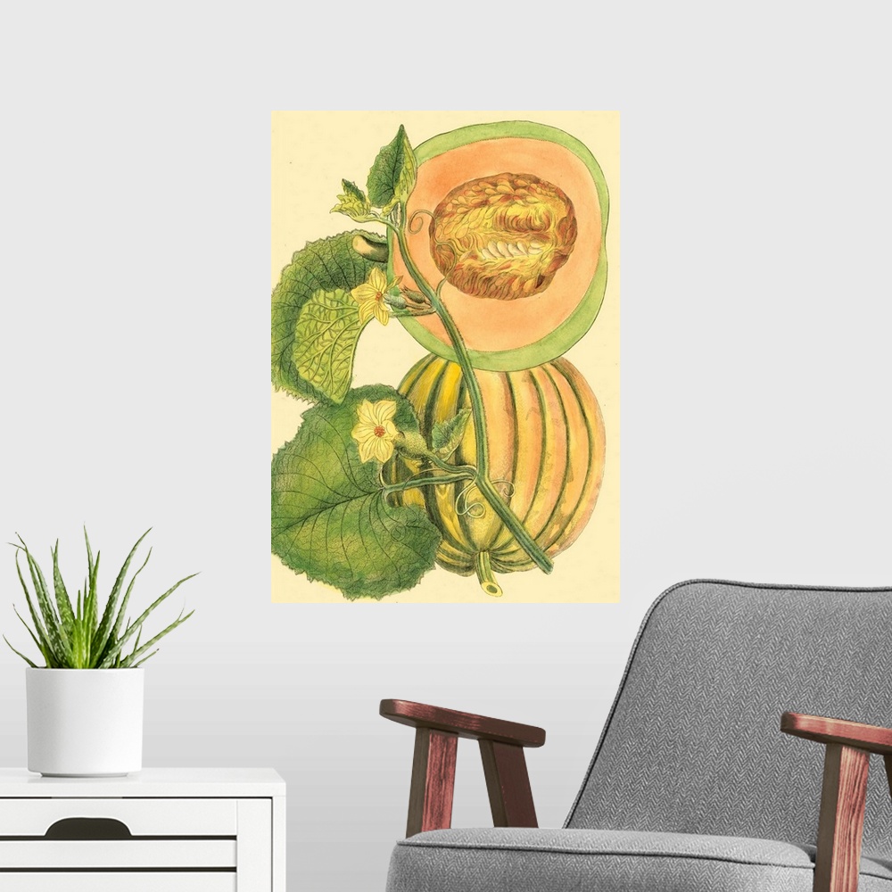 A modern room featuring Exotic Melons IV