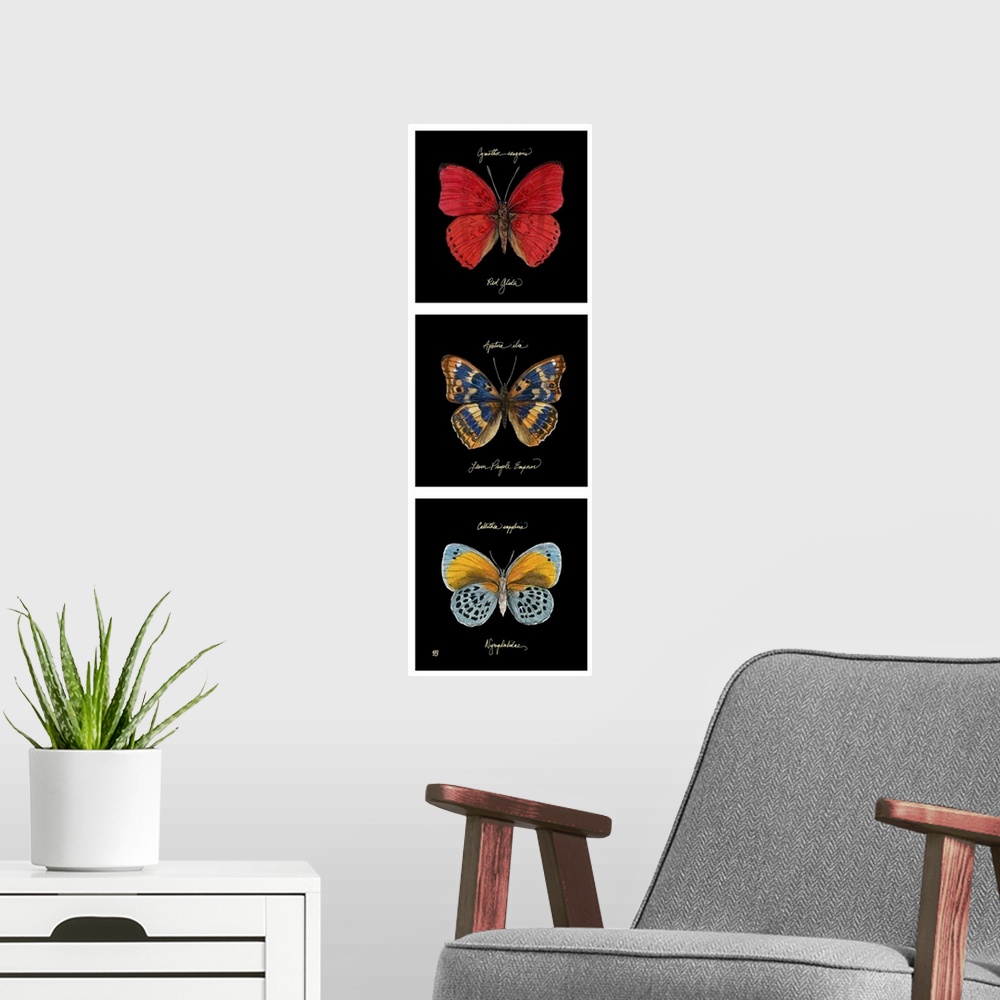 A modern room featuring Primary Butterfly Panel I