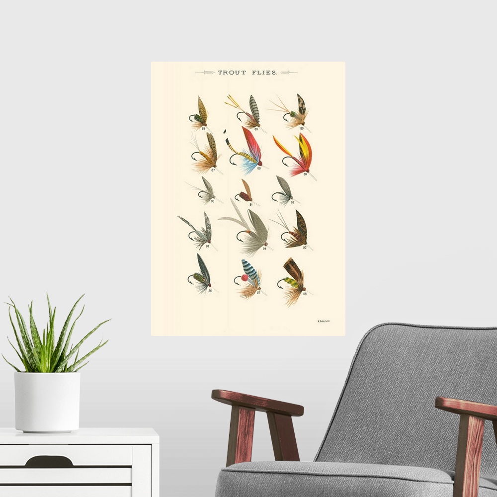 A modern room featuring Trout Flies I