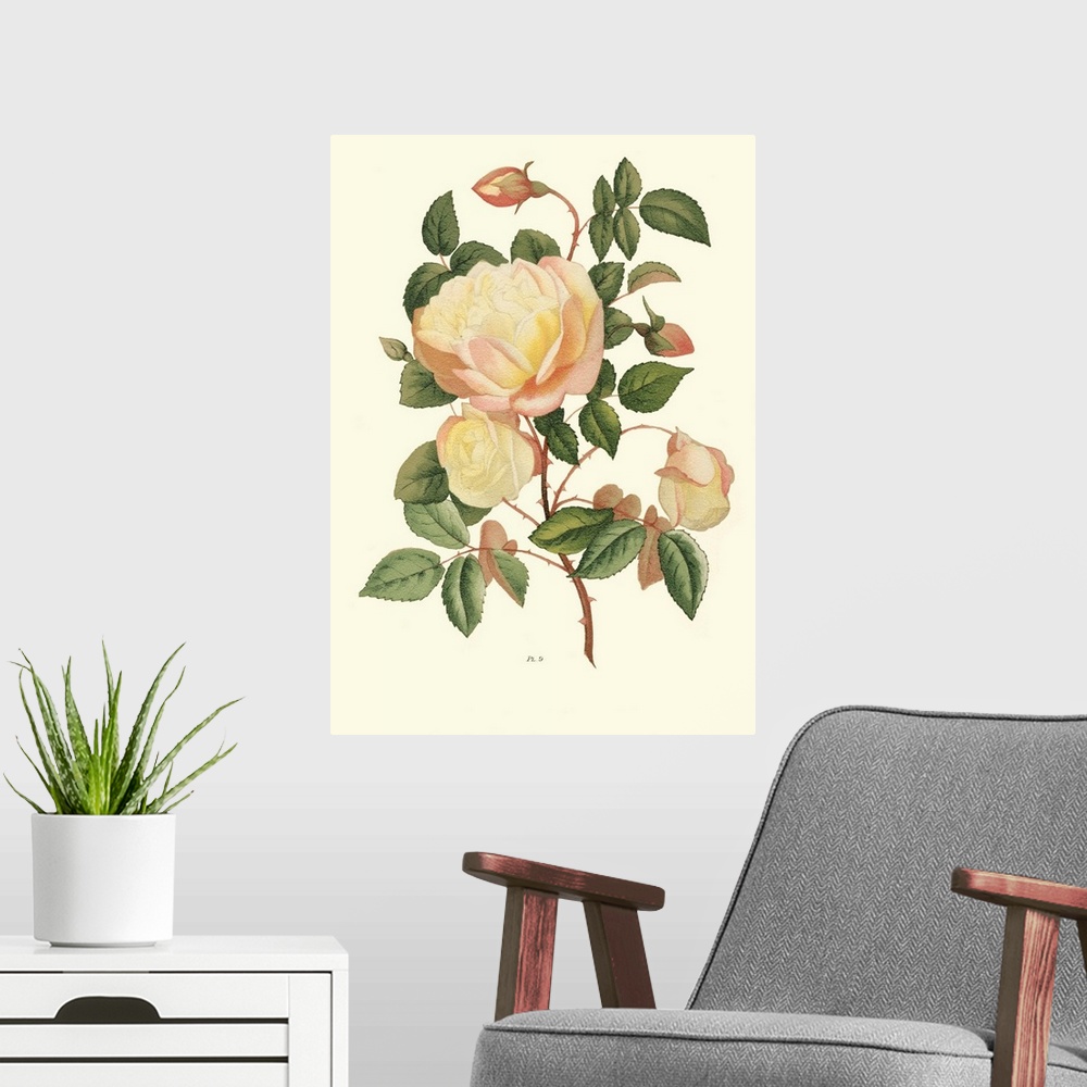 A modern room featuring Vintage Roses IV