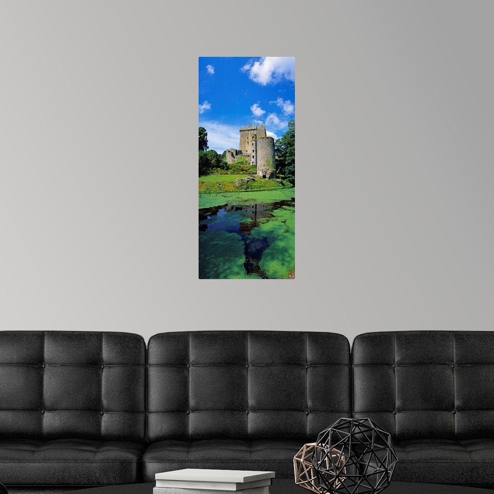 A modern room featuring Pond In Front Of A Castle, Blarney Castle, County Cork, Republic Of Ireland