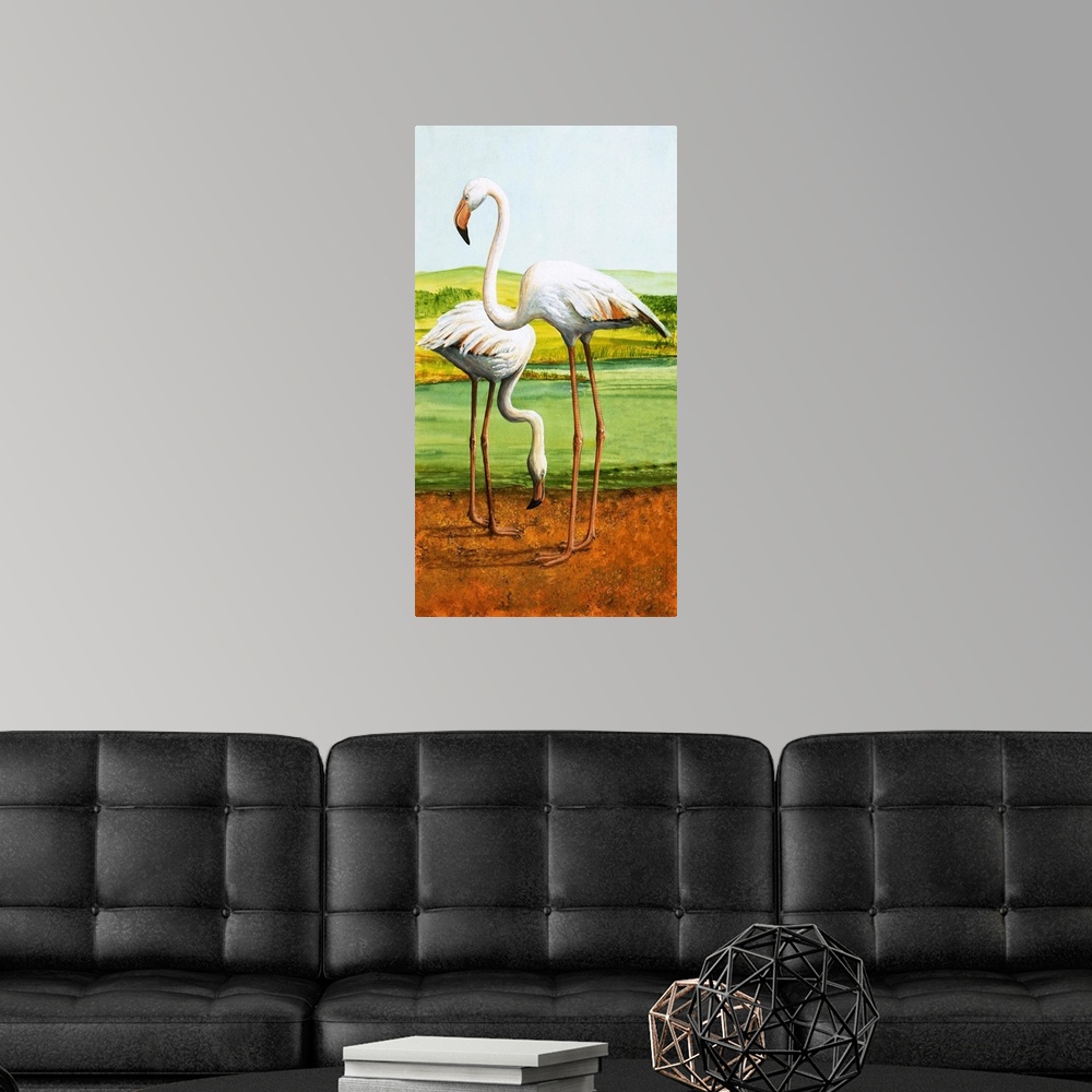 A modern room featuring Flamingoes
