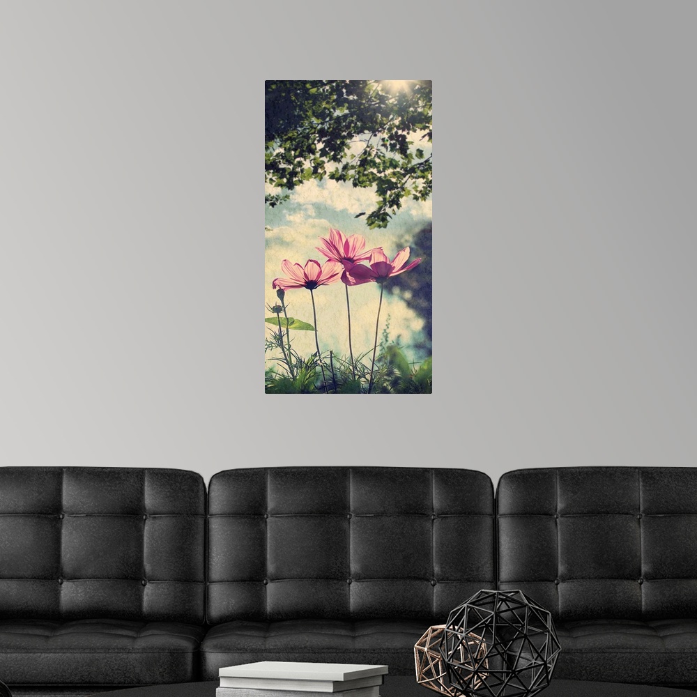 A modern room featuring Wild flowers on sunny summer afternoon.