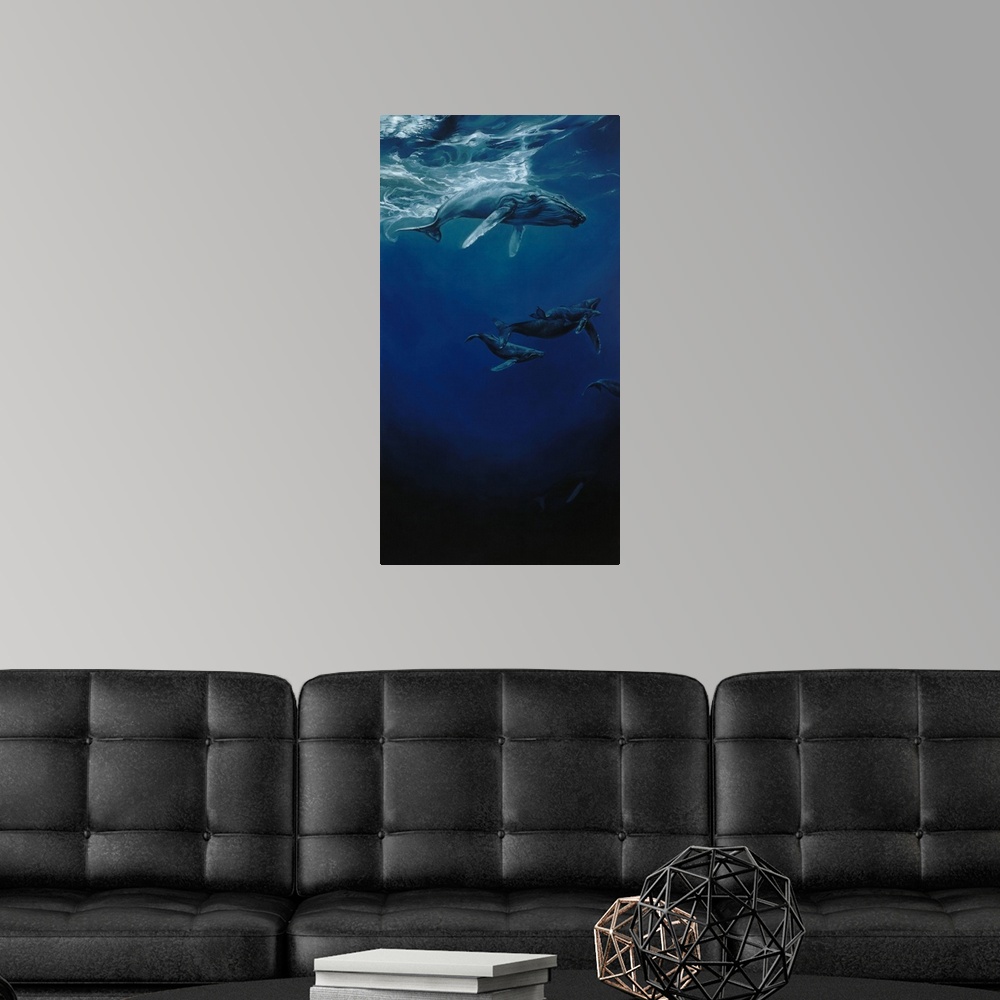 A modern room featuring Whalesong