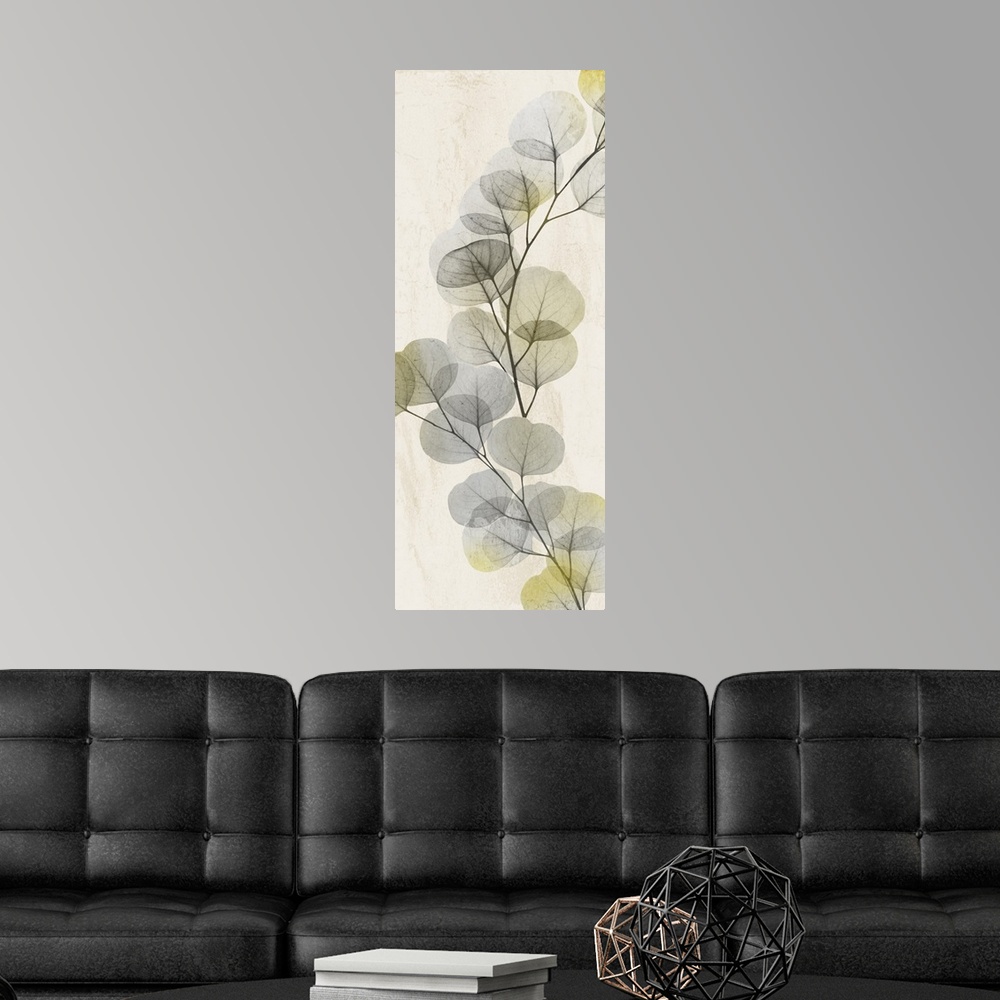 A modern room featuring X-ray style photograph of a branch full of rounded leaves.