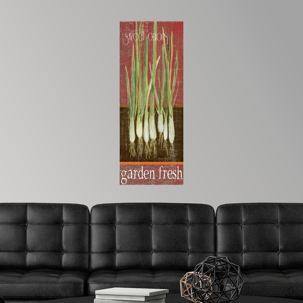 A modern room featuring Green Onions