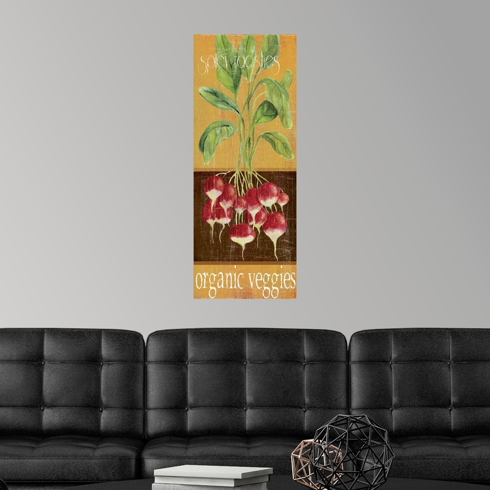 A modern room featuring Red Radishes