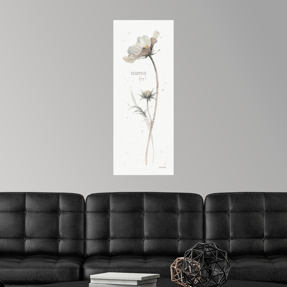 A modern room featuring Decorative artwork of watercolor flower designed as a botanical study labeled as, 'Cosmos, fig. 1.'