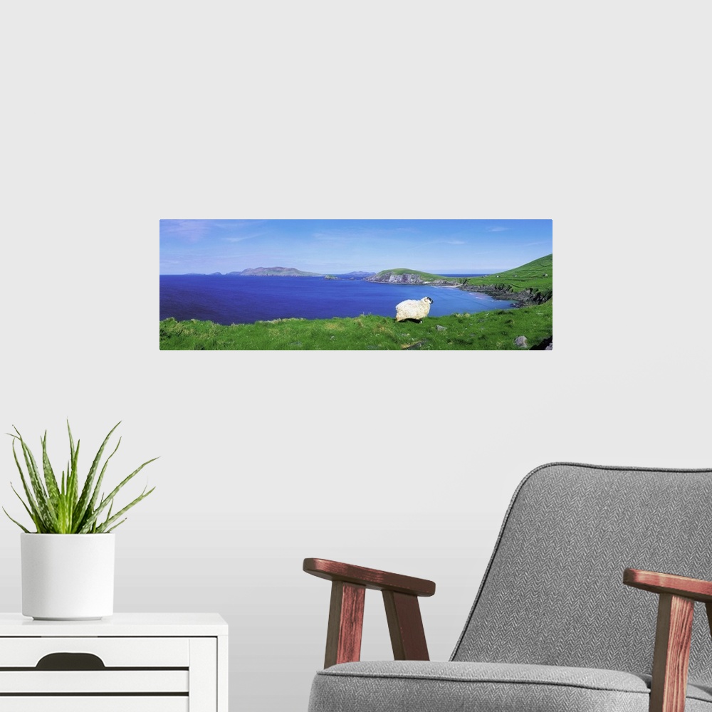 A modern room featuring Dunmore Head, Blasket Islands, Dingle Peninsula, Co Kerry, Ireland