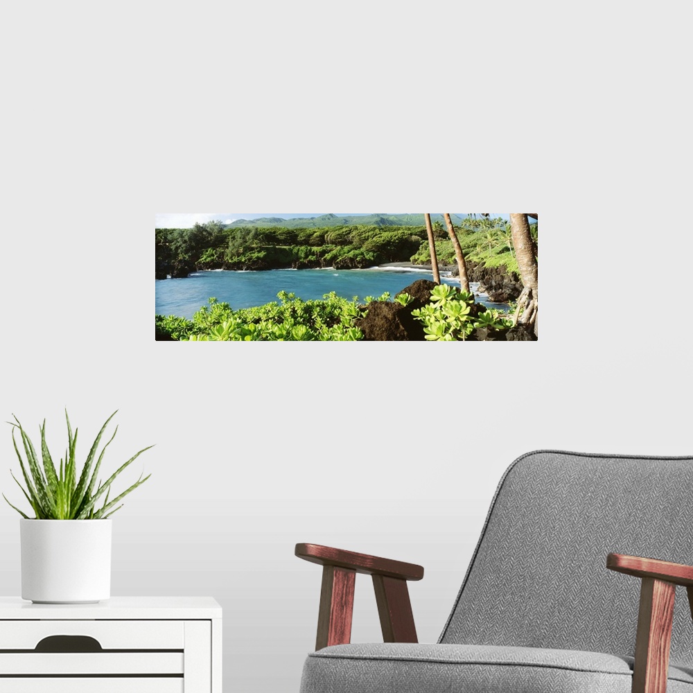 A modern room featuring Hawaii, Maui, Hana, Waianapanapa State Park, Black Sand Beach And Lush Greenery